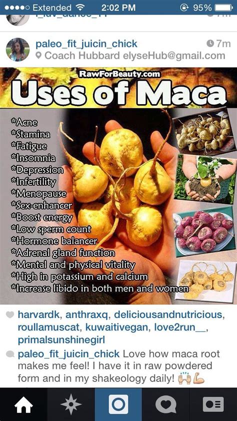 Uses of Maca! | Maca powder benefits, Maca benefits, Maca