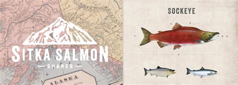 Sitka Salmon Shares - Branding, Packaging, Website - CODO Design