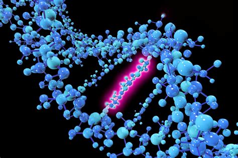 Mutations synonymes et non synonymes - Définitions | Troovez.com