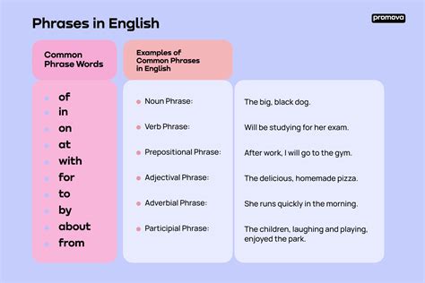 What is a Phrase in English: Definition, Examples, and Types