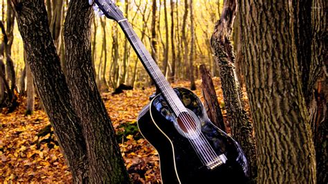 Guitar in the forest wallpaper - Music wallpapers - #19122