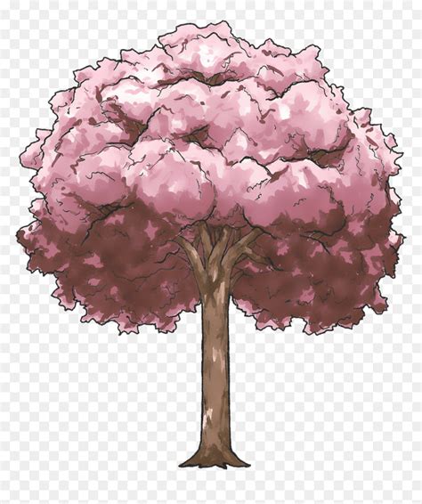 Anime Cherry Blossom Tree Drawing