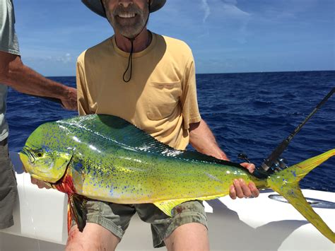 Dolphin (Mahi-mahi) Fishing in the Florida Keys