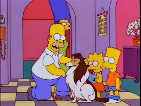 Does the Simpsons family take good care of their pets? | ResetEra