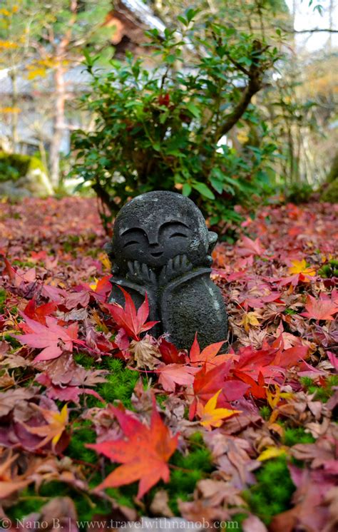 Kyoto: Best Spots To View Autumn Leaves – Travel With Nano B.