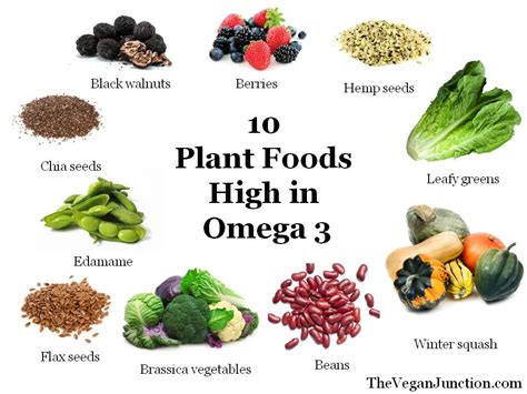 What you need to know about the Omega 3 in a nutshell — Plant Shift