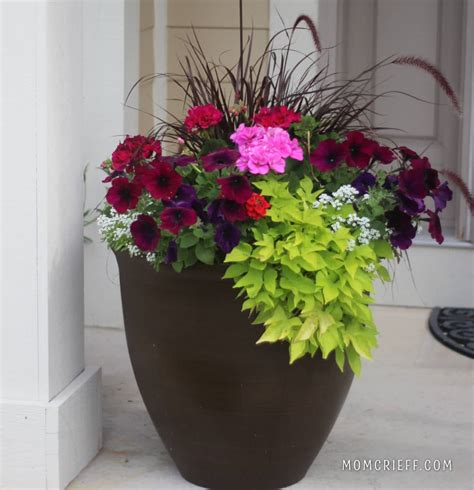 How to plant flower pots - Momcrieff