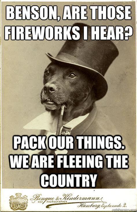 Dog fireworks Memes