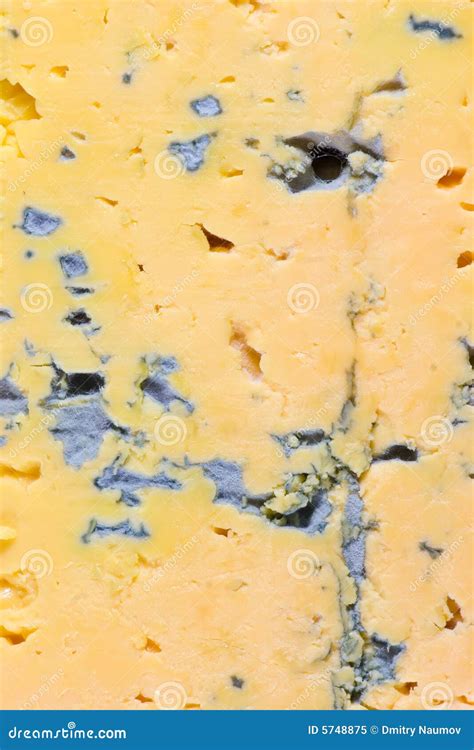 Yellow Cheese with Blue Mold Stock Image - Image of aging, mould: 5748875