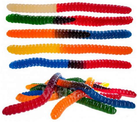 World’s Largest Gummy Worm - XciteFun.net