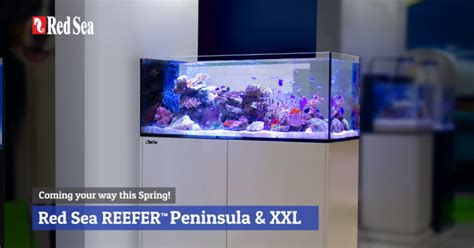 The New Reefer Peninsula Series Aquarium from Red Sea