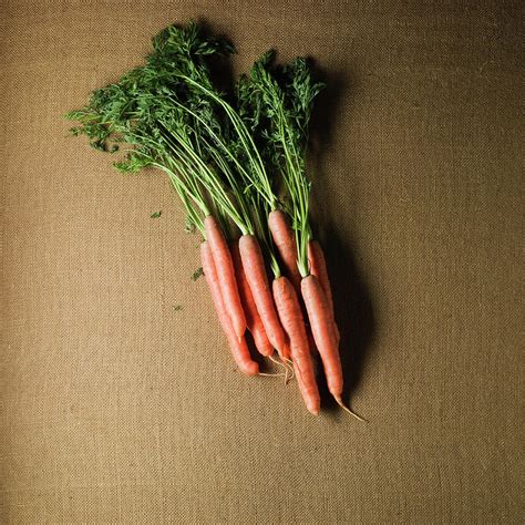 Organic Carrots by Monica Rodriguez