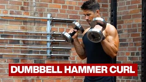 Dumbbell Hammer Curl