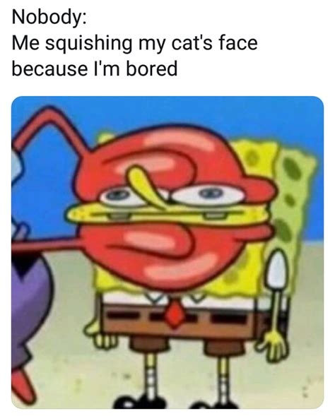 Cant believe I got so bored I reinstalled twitter | /r/BikiniBottomTwitter | SpongeBob ...