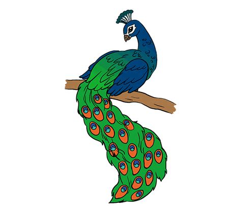 Draw a Peacock in a Few Easy Steps ...