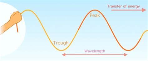 10 Best Examples of Transverse Waves In Real Life - RankRed