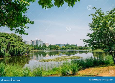 Ilsan Lake Park and Modern Buildings in Goyang, Korea Stock Photo ...