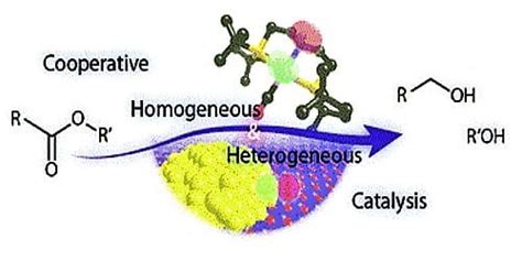 Differences between Homogeneous Catalysis and Heterogeneous Catalysis - QS Study