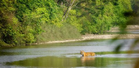 Bardiya Wildlife safari - Navigate Outdoors