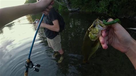 Bass Fishing the Slough - Fishing Washington Ep 1 - YouTube