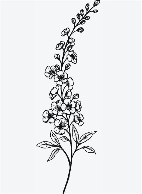 delphinium tattoo | Delphinium tattoo, Larkspur flower tattoos ...