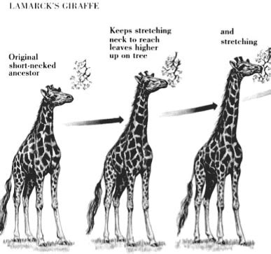 Geology Online Subchapter