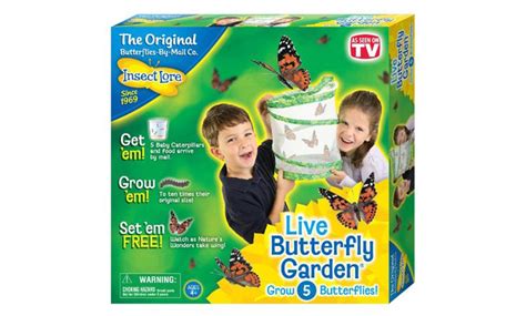 Butterfly Garden Hatching Kit | Groupon Goods