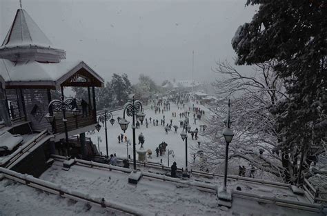 Snowfall In Shimla 2024 December - Aurel Caresse