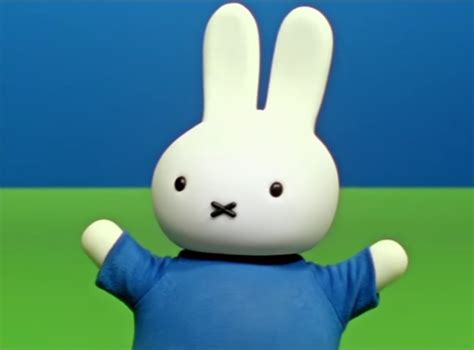 Miffy | Fictional Characters Wiki | Fandom