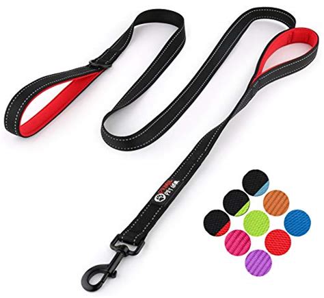 20 Best Dog Leash Reviews For 2022 - Animal Corner