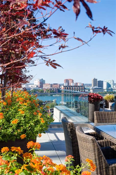 Warm foliage on a cool rooftop deck. Garden design: Winston Flowers ...