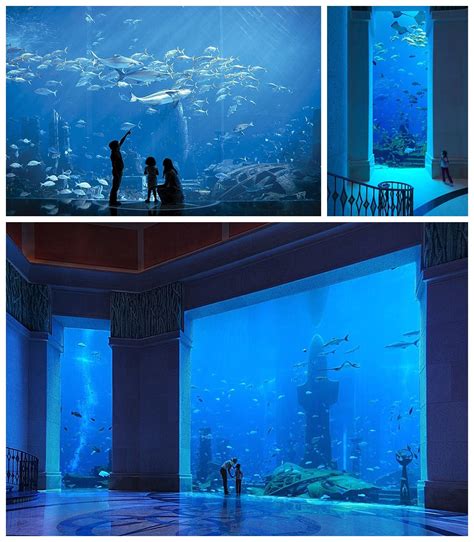 Atlantis The Palm Resort Dubai - Aquarium - Paging Fun Mums