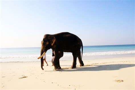 Kala Patthar Beach in Andaman