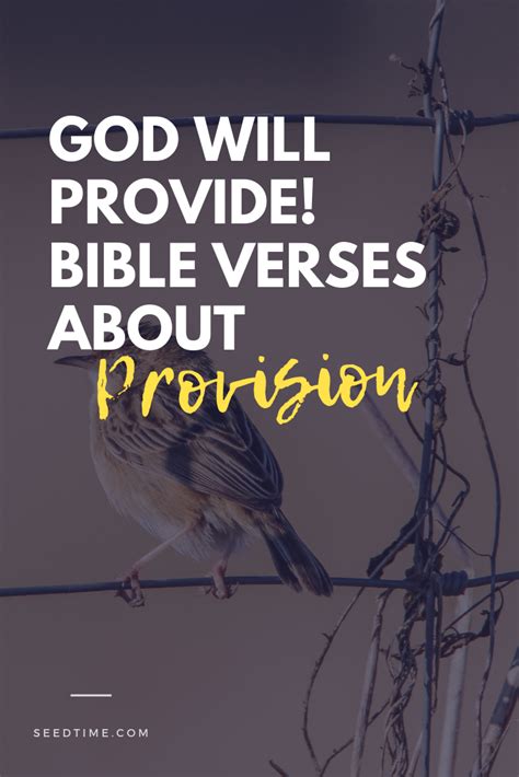 God will provide! Bible Verses about Provision