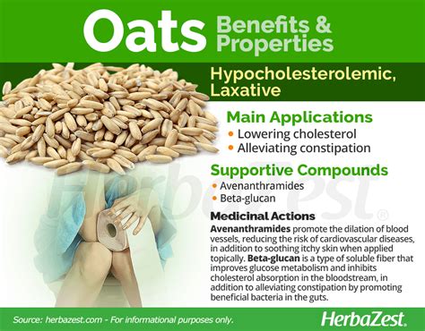 Oat | HerbaZest