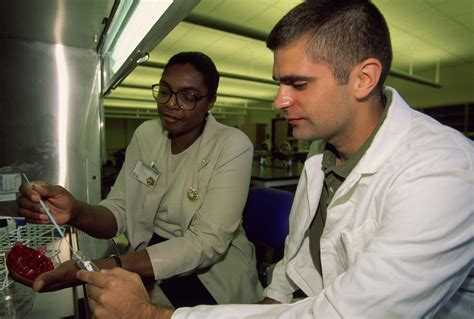 Free picture: instructor, student, work, medical lab