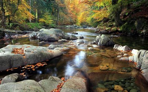 HD Mountain Stream Wallpaper - WallpaperSafari