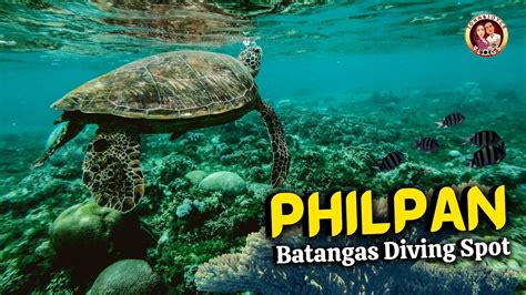 PHILPAN, Mabini Batangas Diving Resort - YouTube