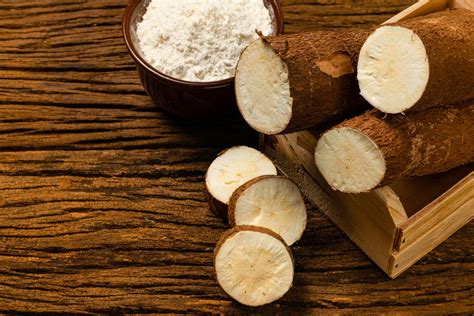 Arrowroot: Health Benefits, Uses And More- HealthifyMe