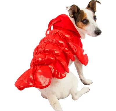 Lobster Dog Costume | Party City