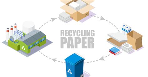 The Simple 4-Step Paper Recycling Process - Haultail On-Demand Delivery Network