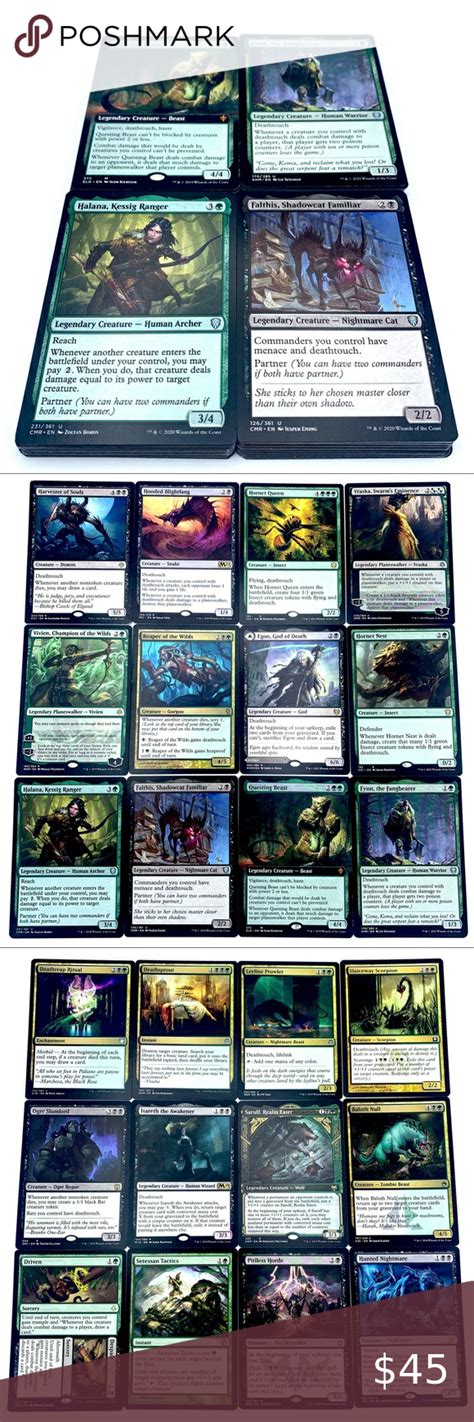 MTG Golgari Deathtouch 100 Card Commander EDH Deck | Deck, Mtg, Ready to play