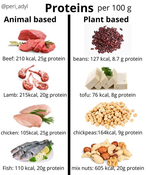 Protein Sources: Animal Based vs. Plant Based