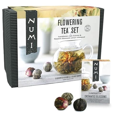 Amazon.com : Numi Organic Flowering Tea Gift Set, 6 Handsewn Tea Blossoms & 16-Ounce Glass ...