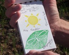 28 Letterboxing Love ideas | geocaching, hand carved rubber, outdoor adventure