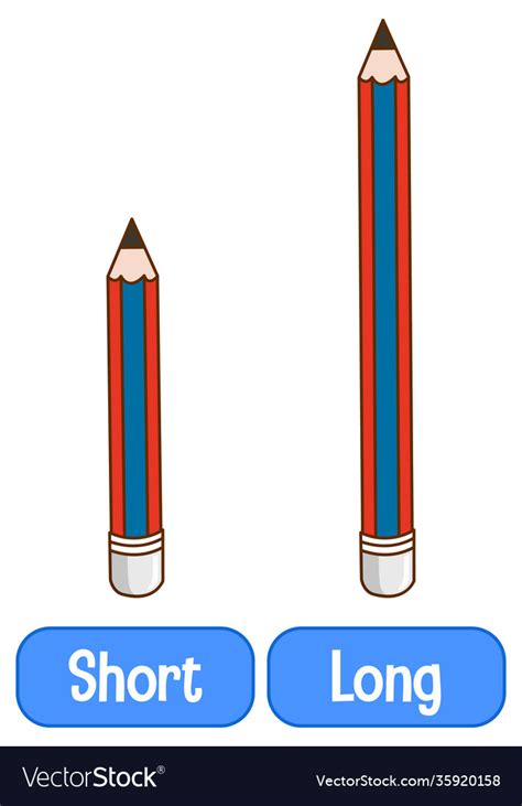 Opposite adjectives words with short and long Vector Image