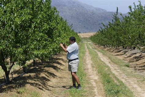 Tense Year Ahead for South Africa’s White Farmers