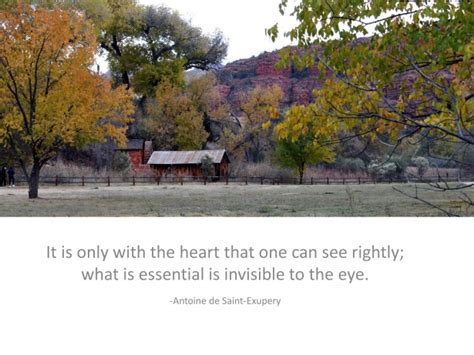 Inspirational Quote About The Heart Free Stock Photo - Public Domain Pictures