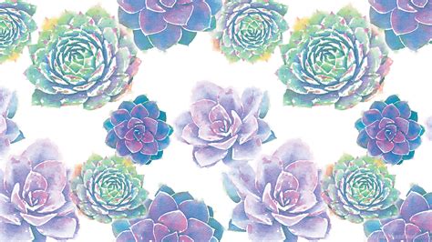 50+ Watercolor Succulent Desktop Wallpapers - Download at WallpaperBro ...