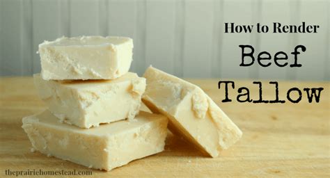 How to Render Tallow | The Prairie Homestead